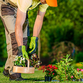Housekeeping Service in Navi Mumbai